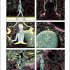 Metal Hurlant Volume 1