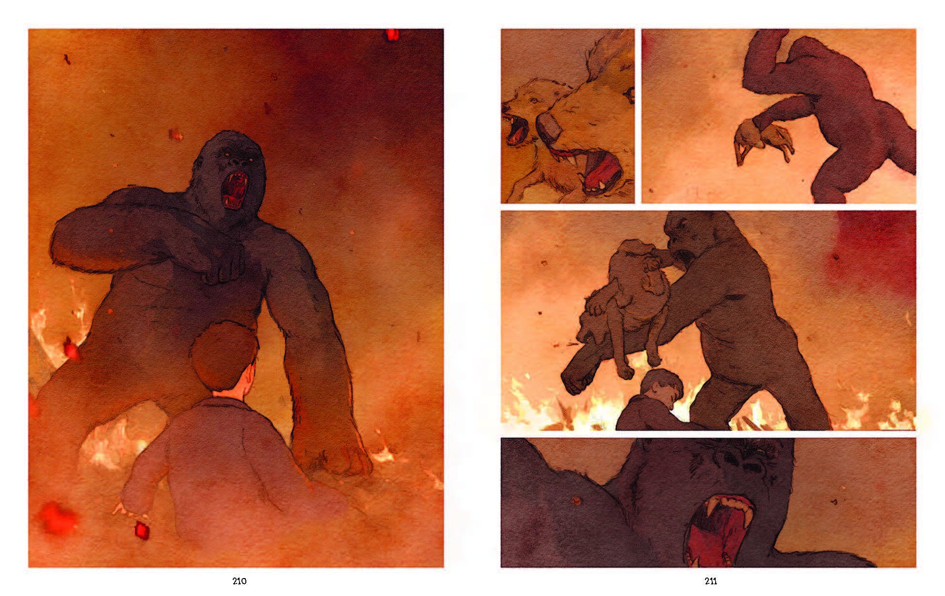When the Sky Falls: Graphic Novel