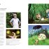 The Animation Atlas