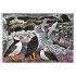 Adult Sustainable Jigsaw Puzzle Angela Harding: Fair Isle Puffins