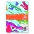 Flying Dragons A5 Notebook