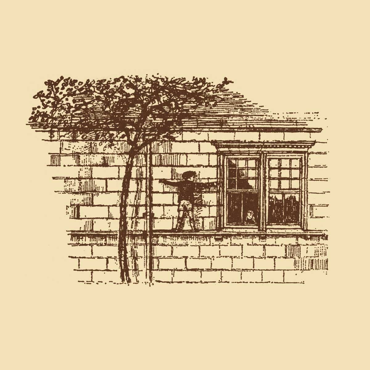 The Strange House