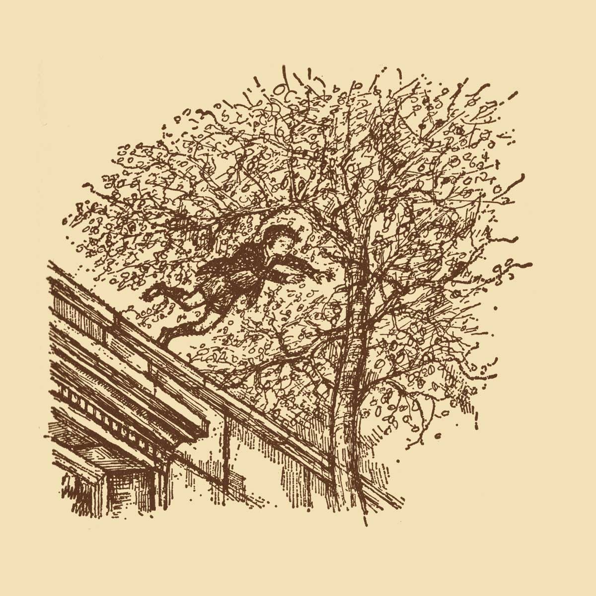 The Strange House