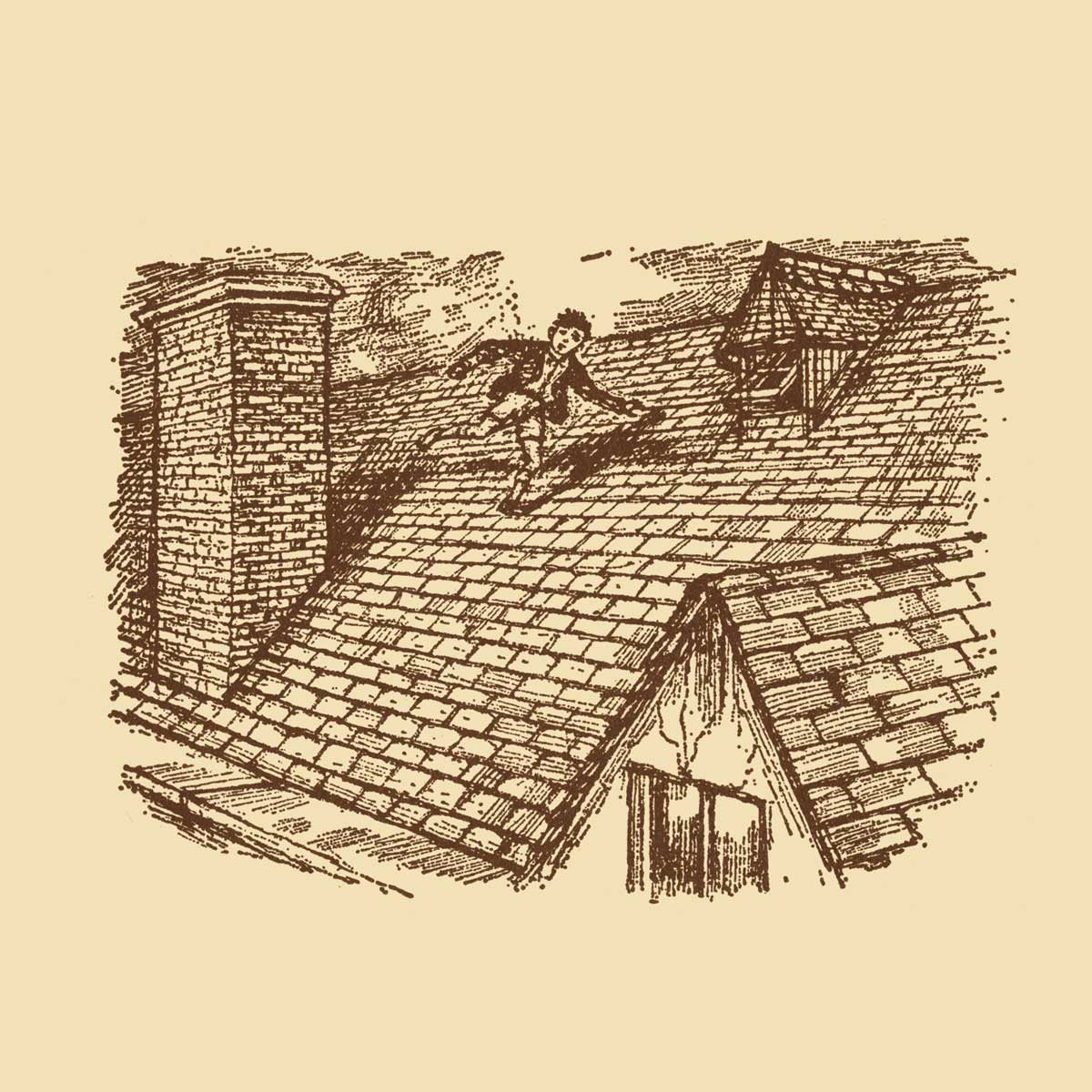 The Strange House