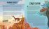 Choose Your Own Evolution: Go Extinct or Survive? You Decide!