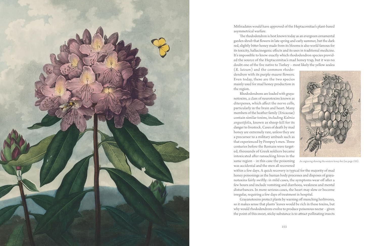 The Atlas of Deadly Plants