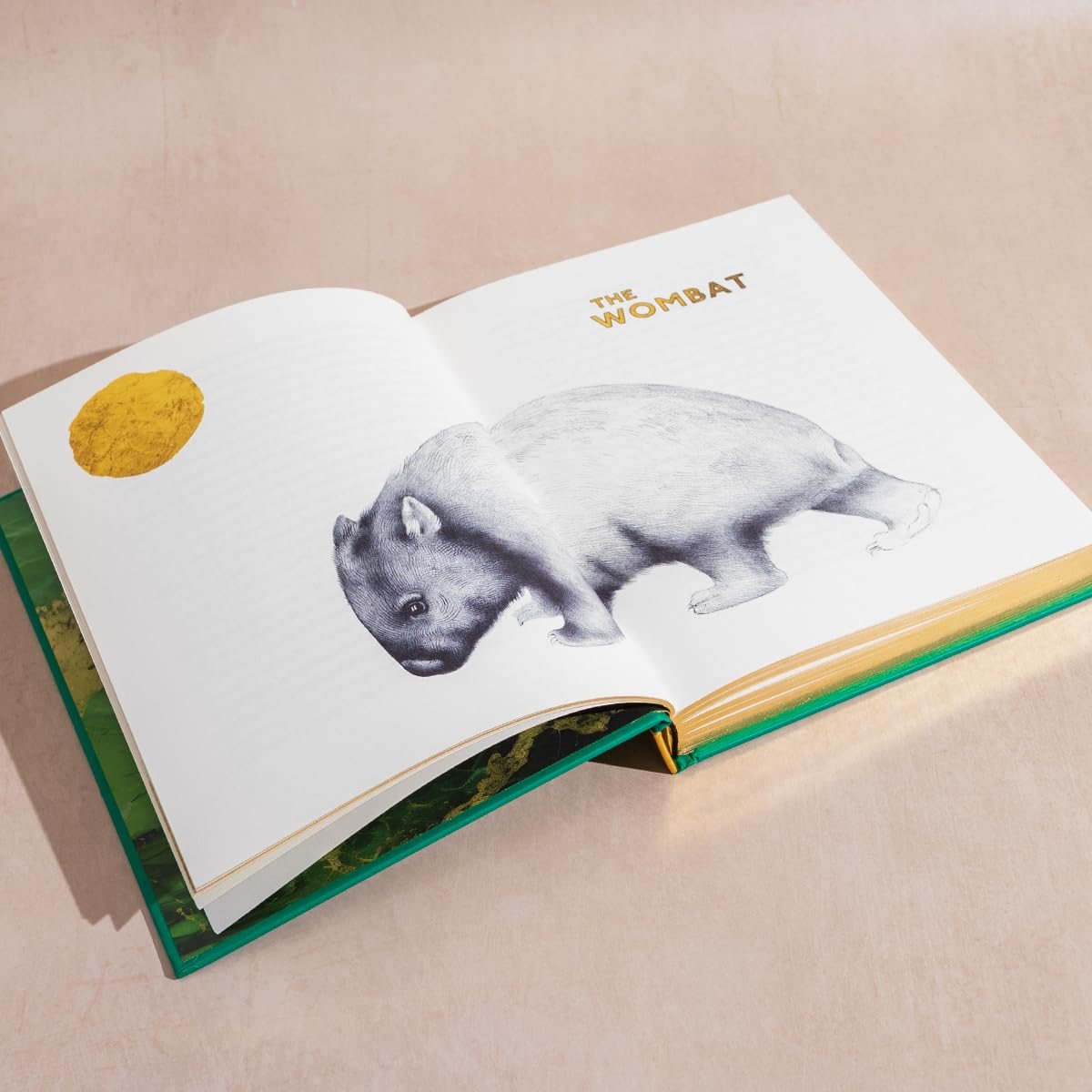 The Golden Mole
