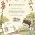 A Visit to Brambly Hedge