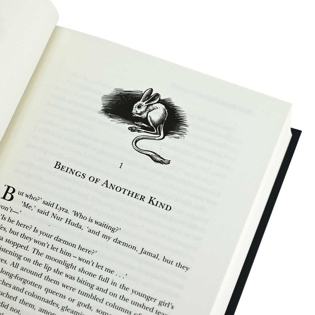 The Rose Field: The Book of Dust Volume Three