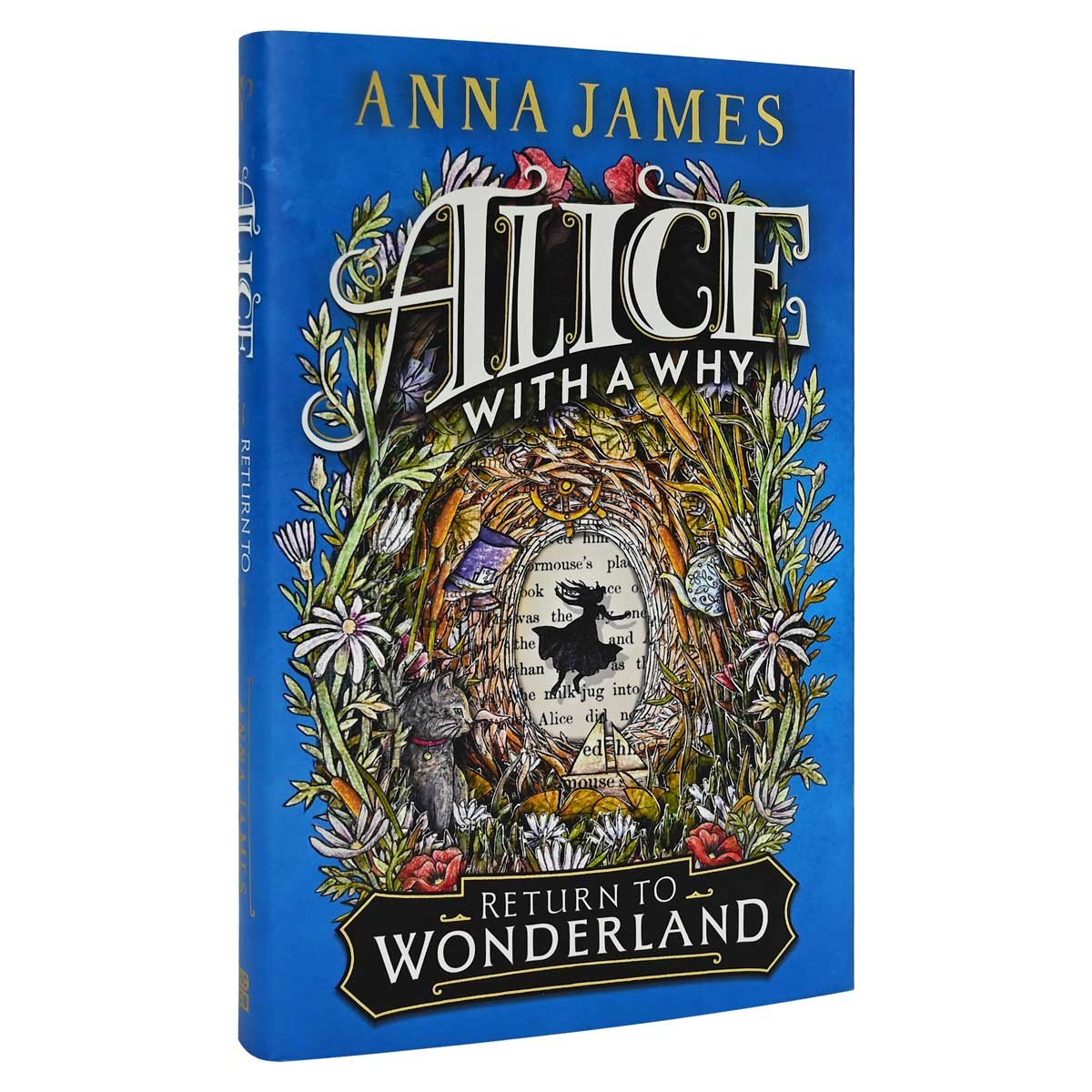 Alice With a Why