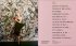 Cecil Beaton's Fashionable World