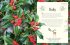 An Anthology of Christmas