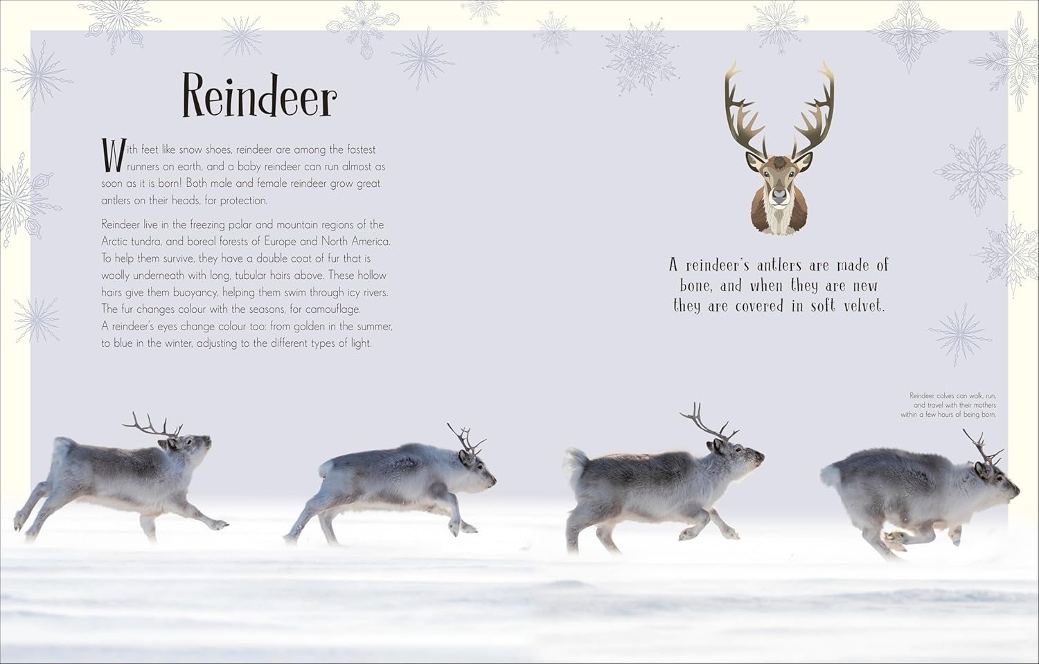 An Anthology of Christmas