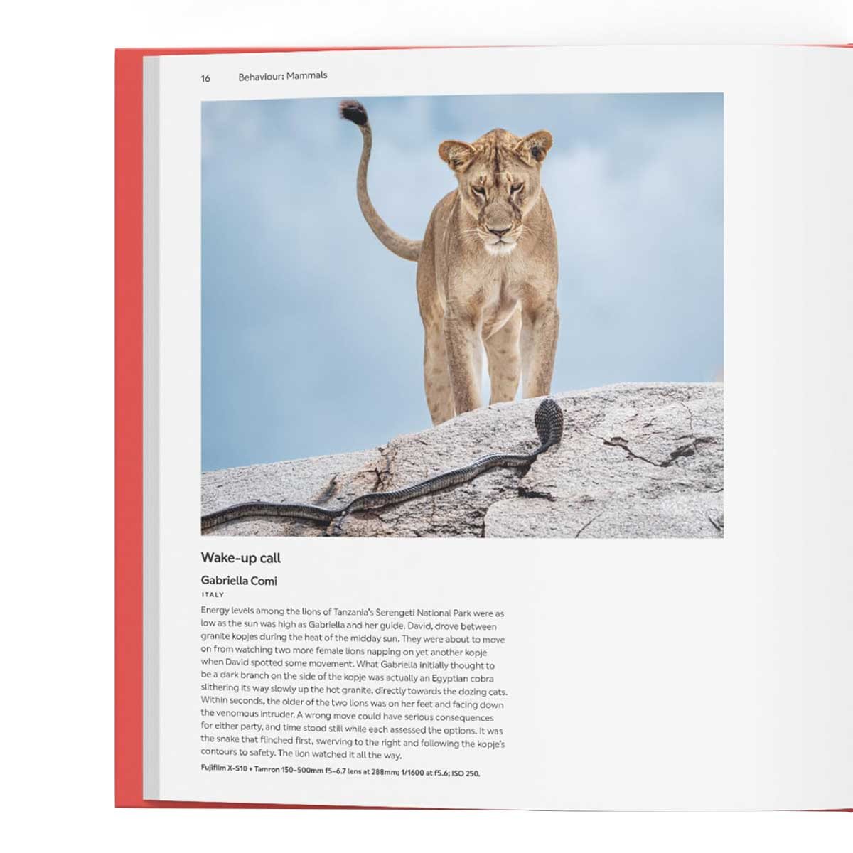 Wildlife Photographer of the Year: Portfolio 35