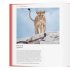 Wildlife Photographer of the Year: Portfolio 35