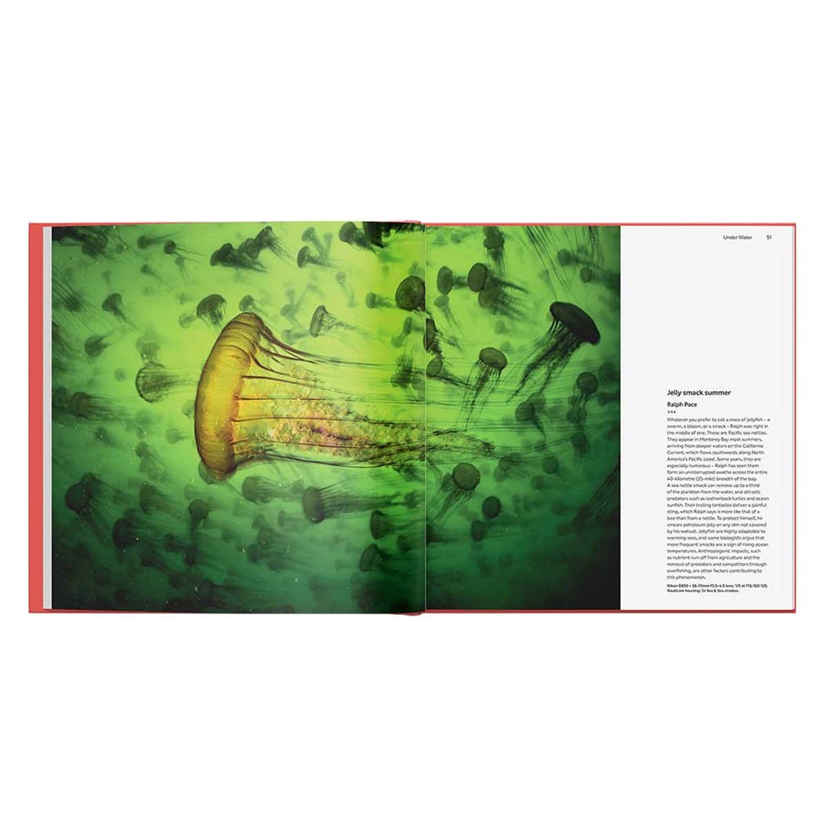 Wildlife Photographer of the Year: Portfolio 35