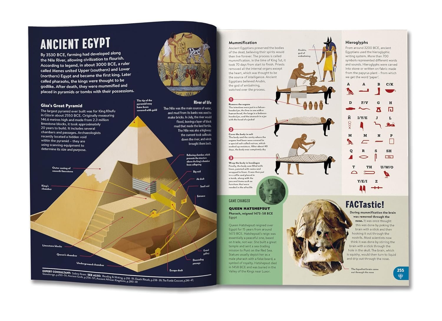 Britannica All New Children’s Encyclopedia – Updated Edition