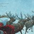 Dasher