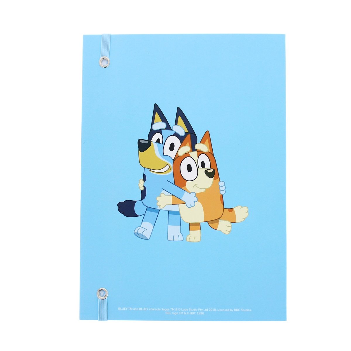 Bluey Notebook
