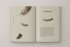 The Book of Birds