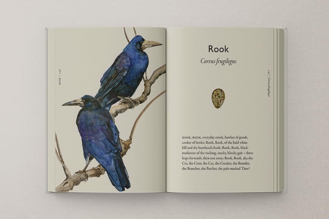 The Book of Birds