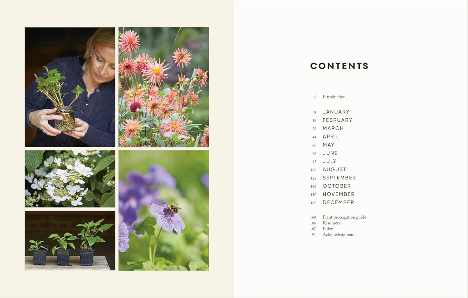 The Money-Saving Garden Year