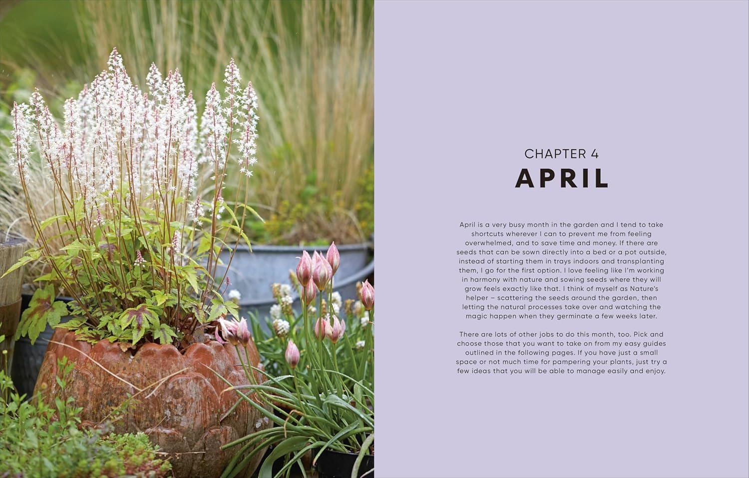 The Money-Saving Garden Year