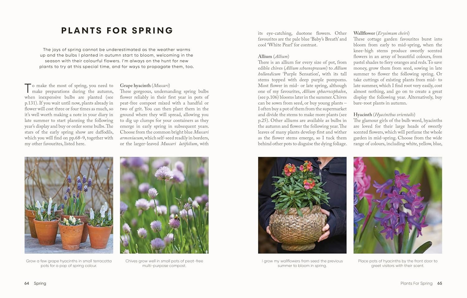 The Money-Saving Gardener Containers