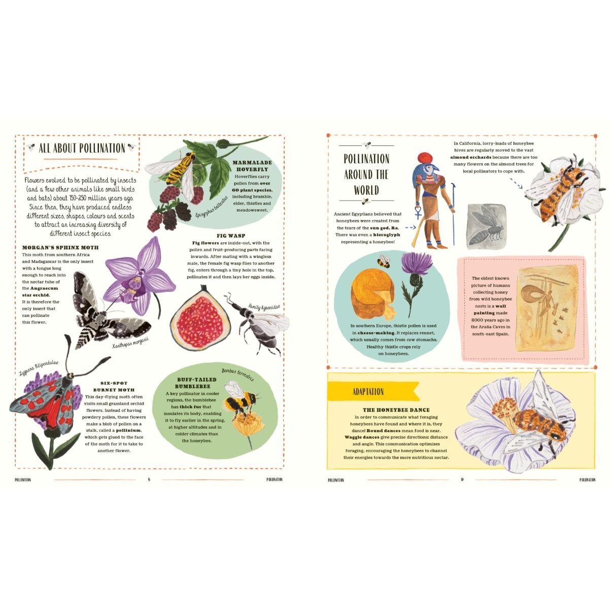 Buzz