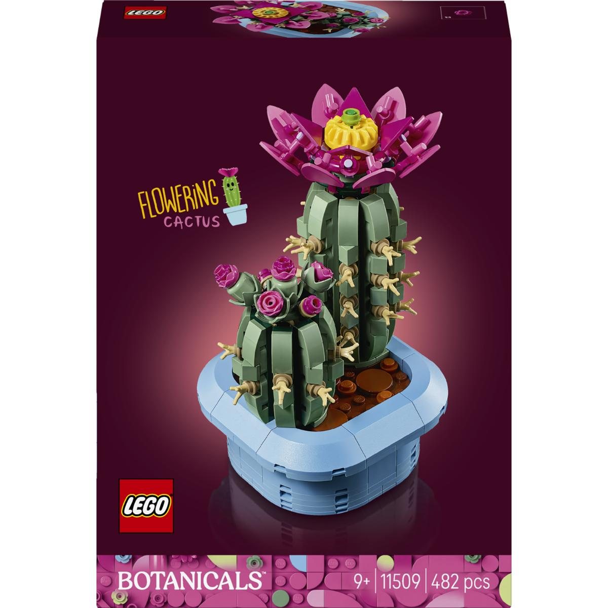 Flowering Cactus