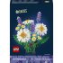 Daisies