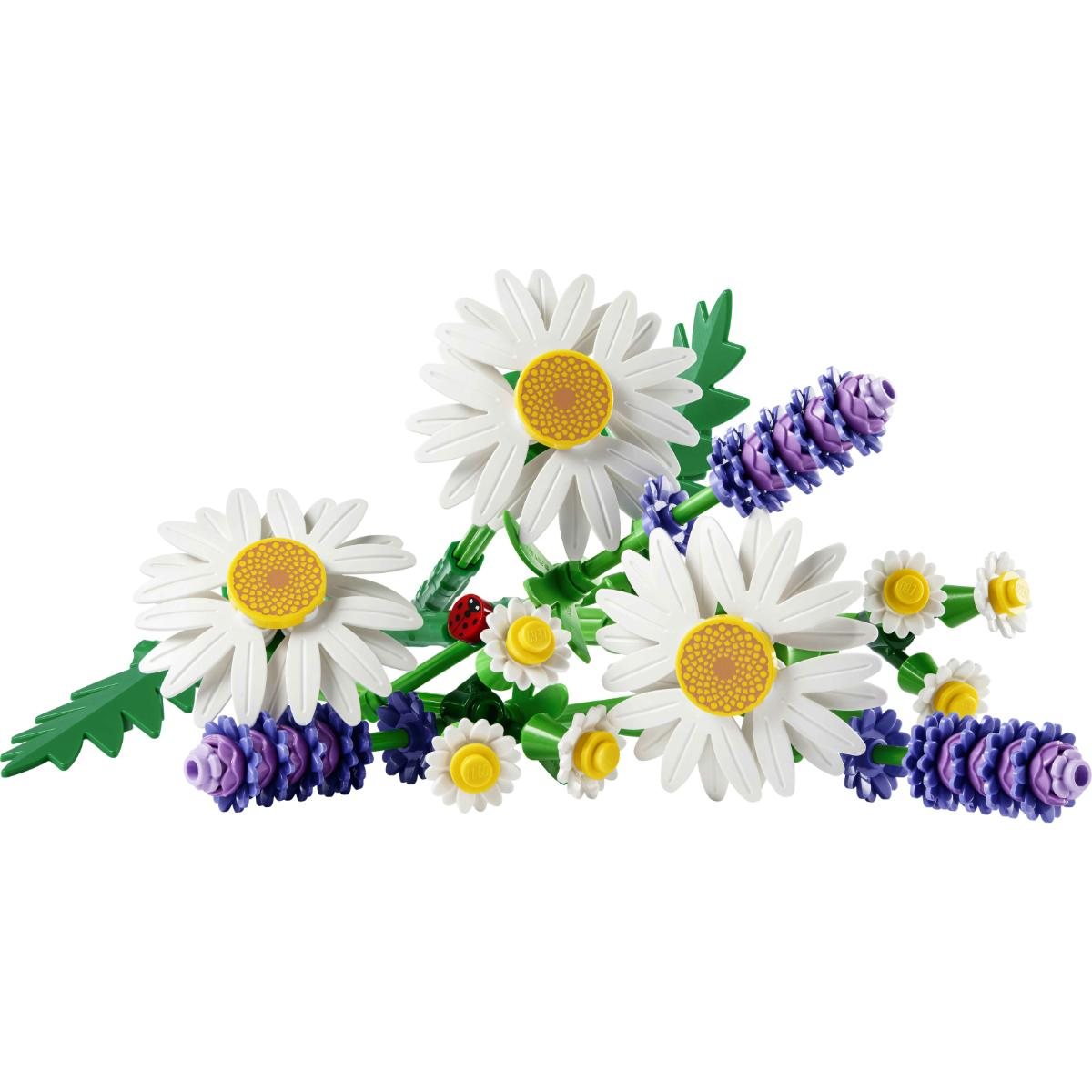 Daisies