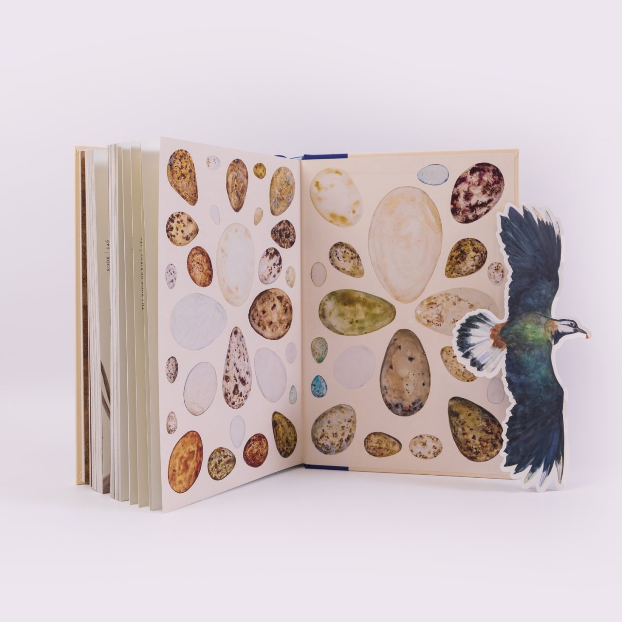 The Book of Birds