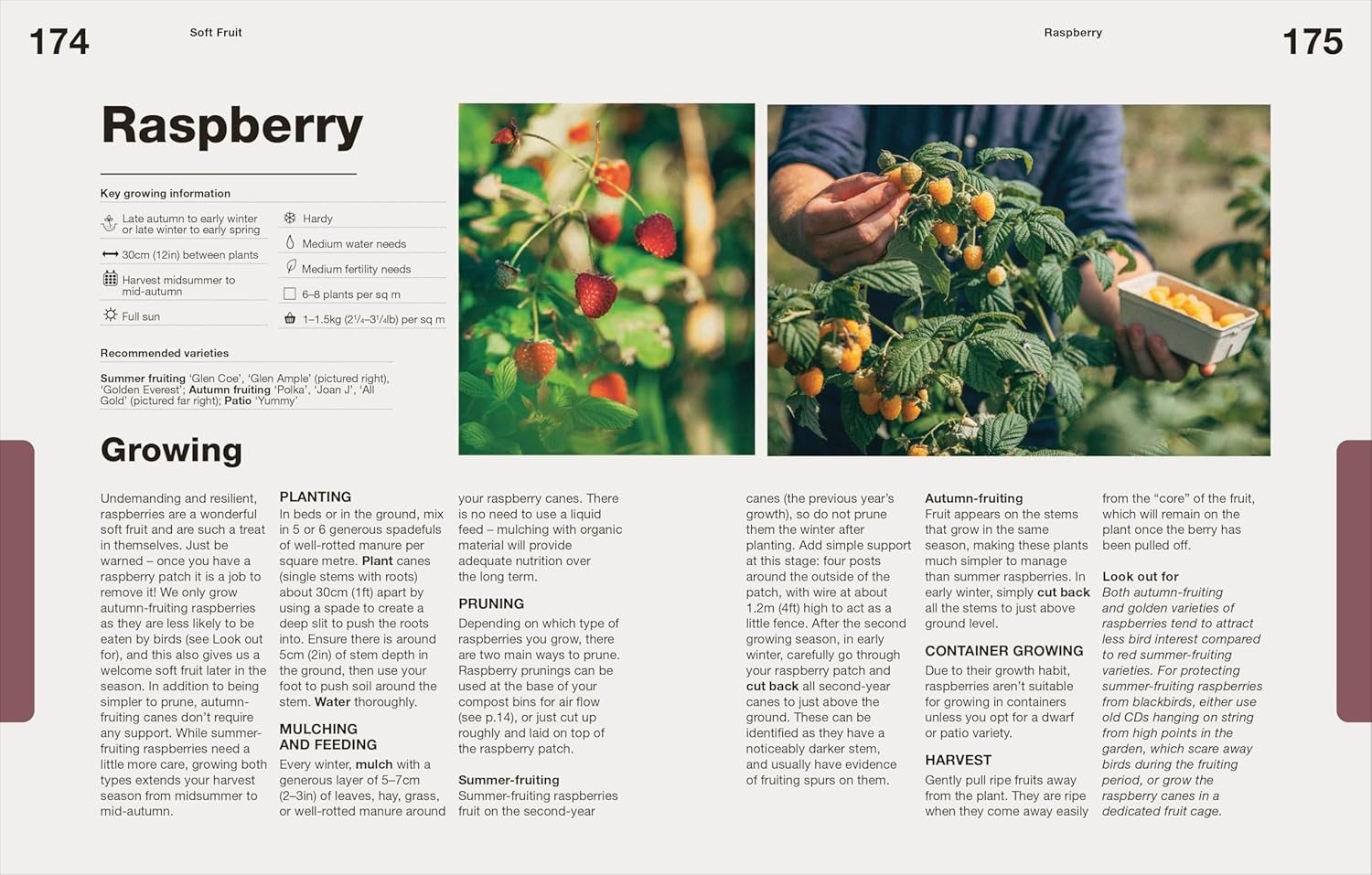 How to Grow Food