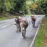 Hampshire: A Pictorial Journey
