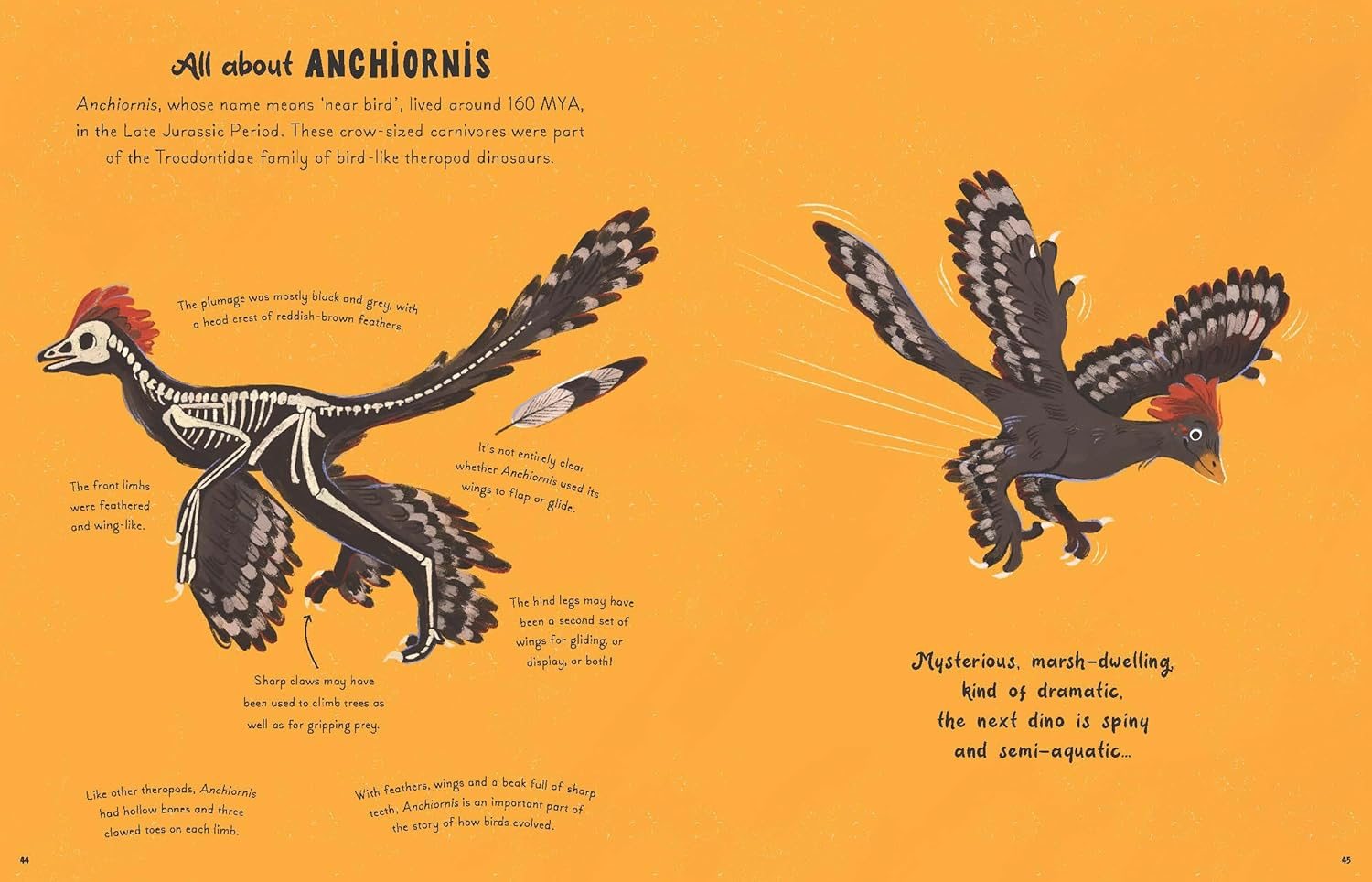 5 Minute Dinosaur Stories