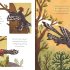 5 Minute Dinosaur Stories