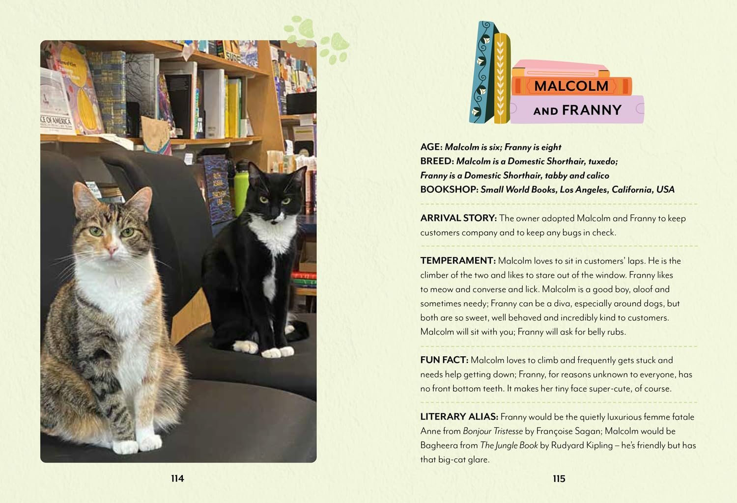 Bookshop Cats