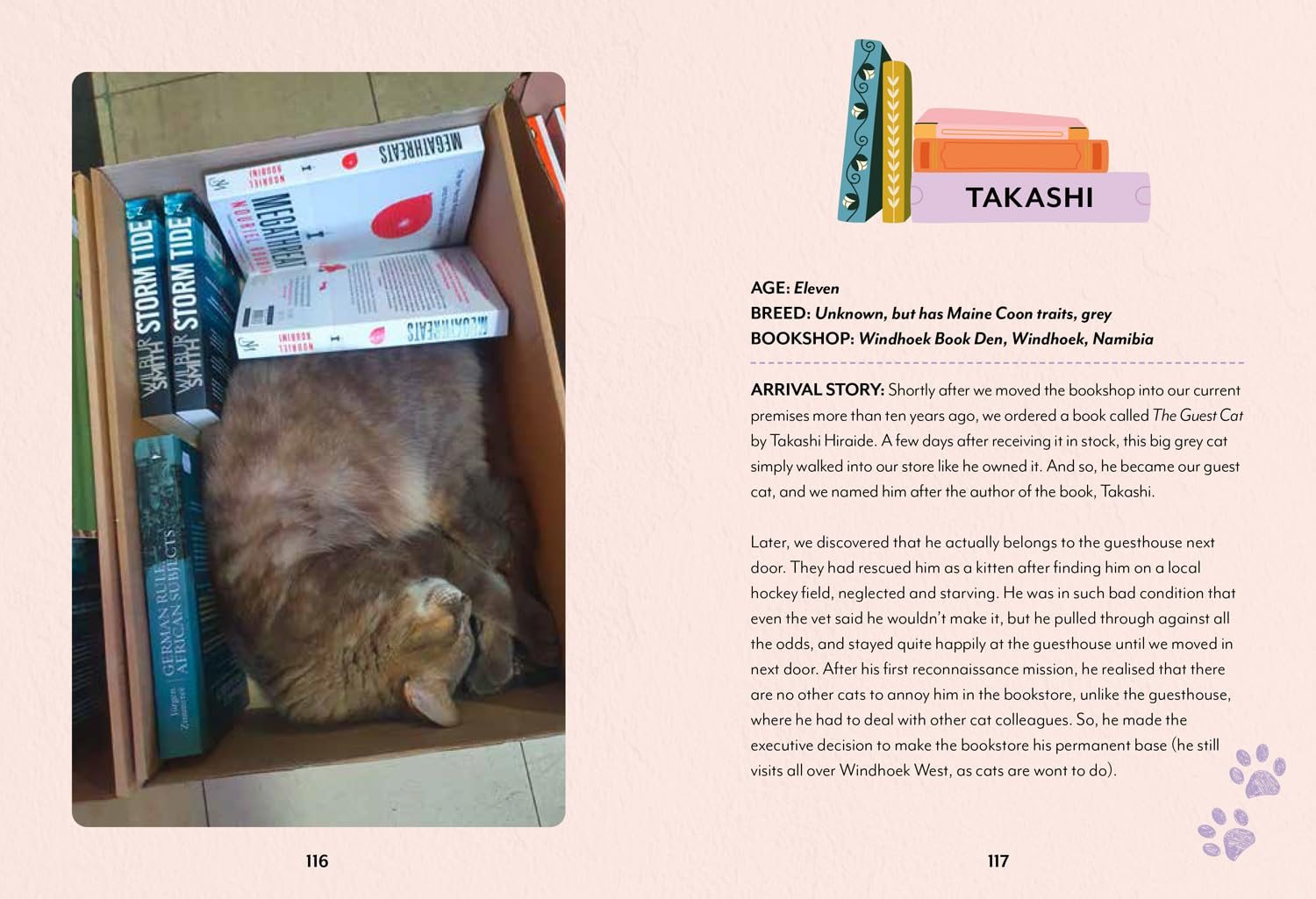 Bookshop Cats