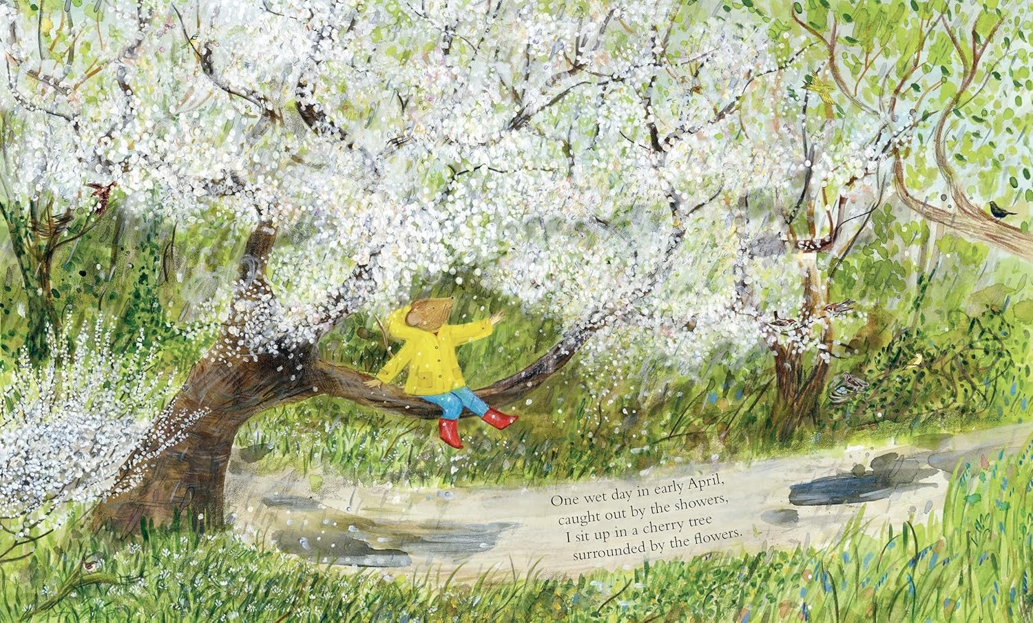 Mouse's Wood