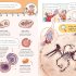 The Mystery of the Dinosaur Fossil (Ivy and Bearlock 2)