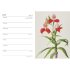 RHS Pocket Diary 2027