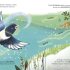 Magpie and the Sparkling Words