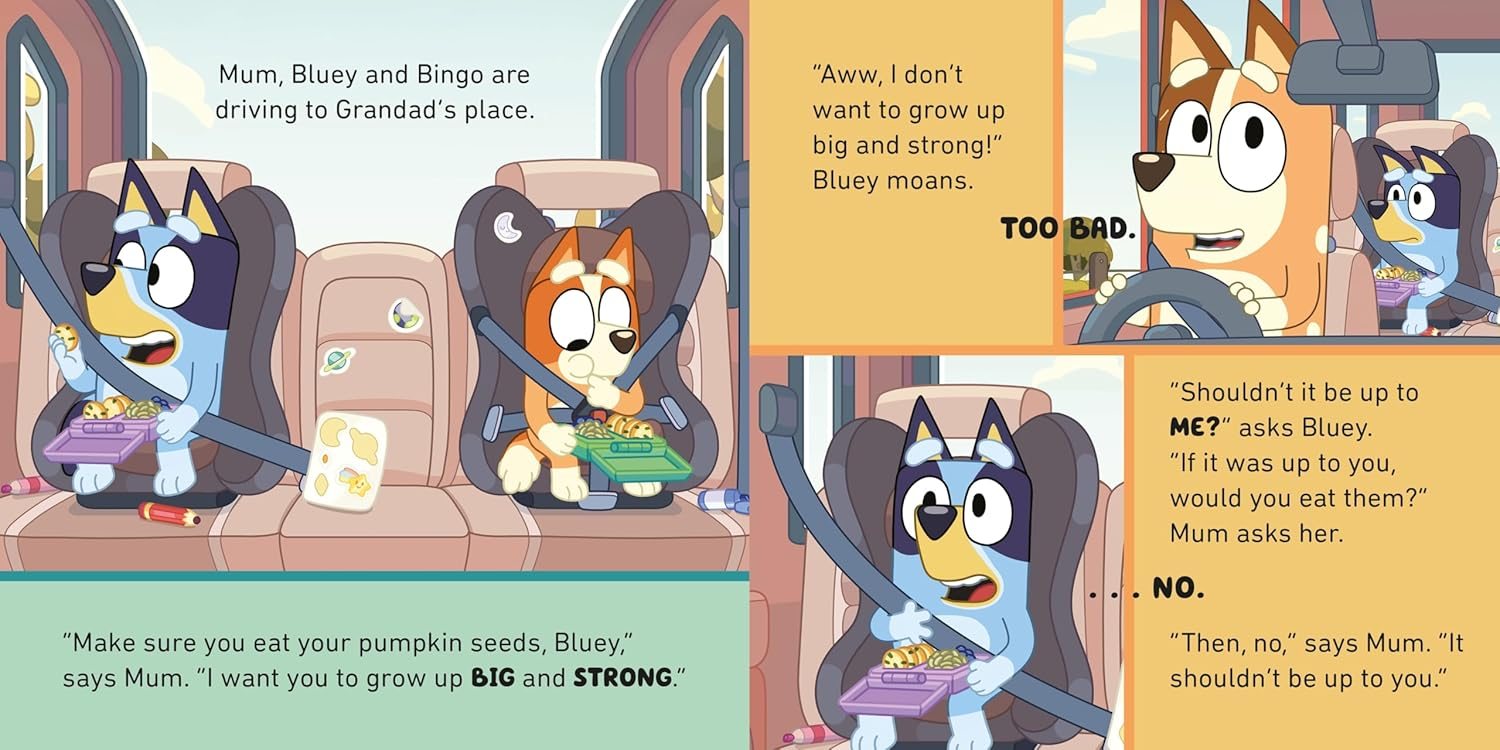 Bluey: Grandad