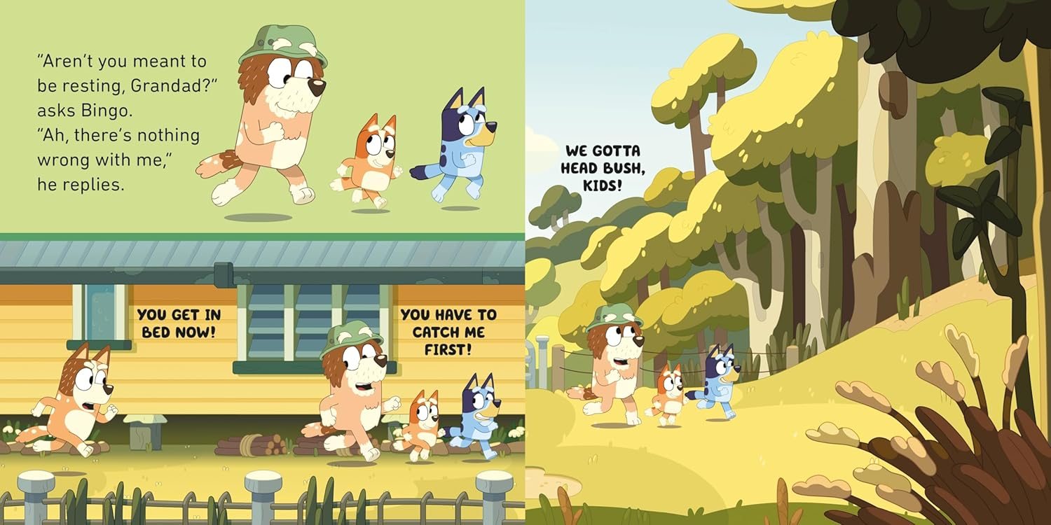 Bluey: Grandad