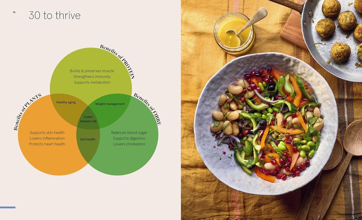 The 30g Plan Cookbook