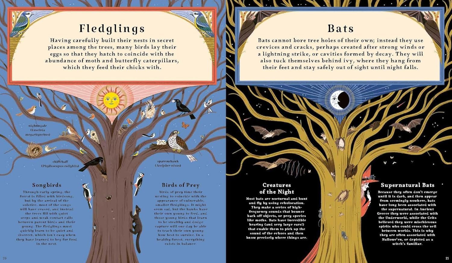 Woodlore
