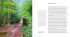 Hockney's Pictures