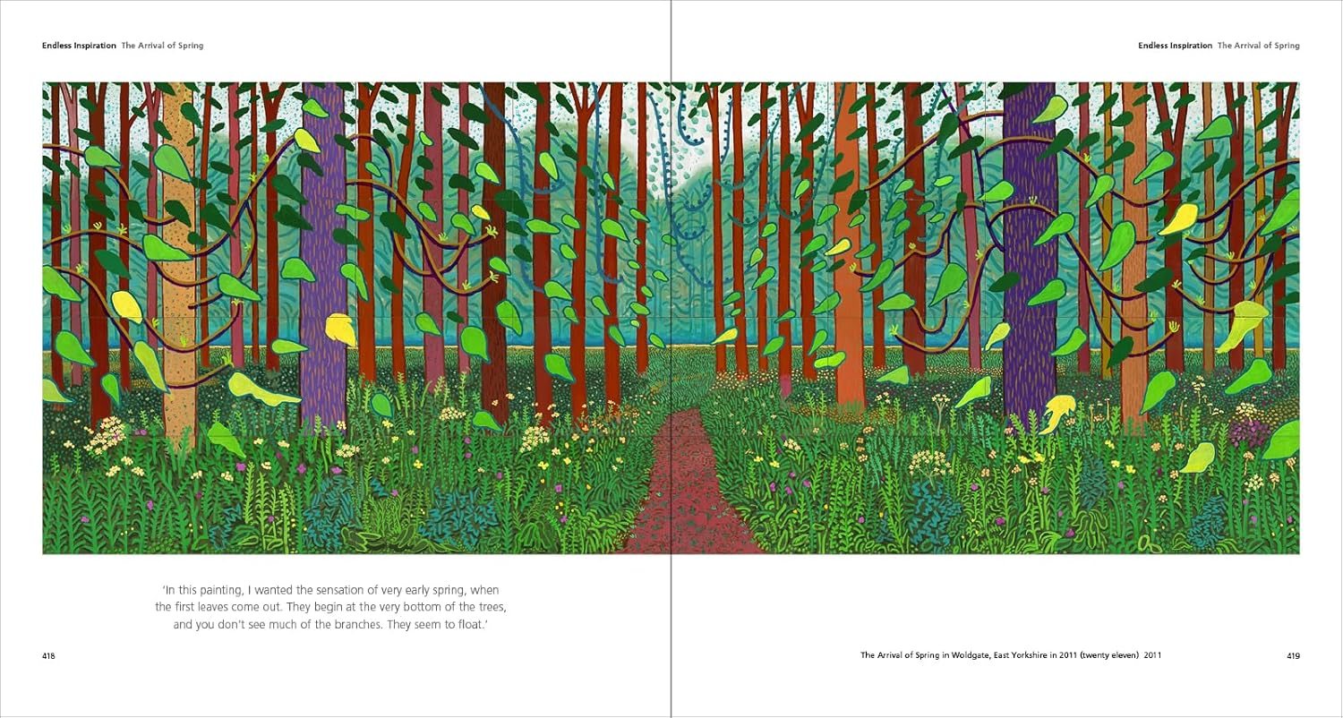 Hockney's Pictures