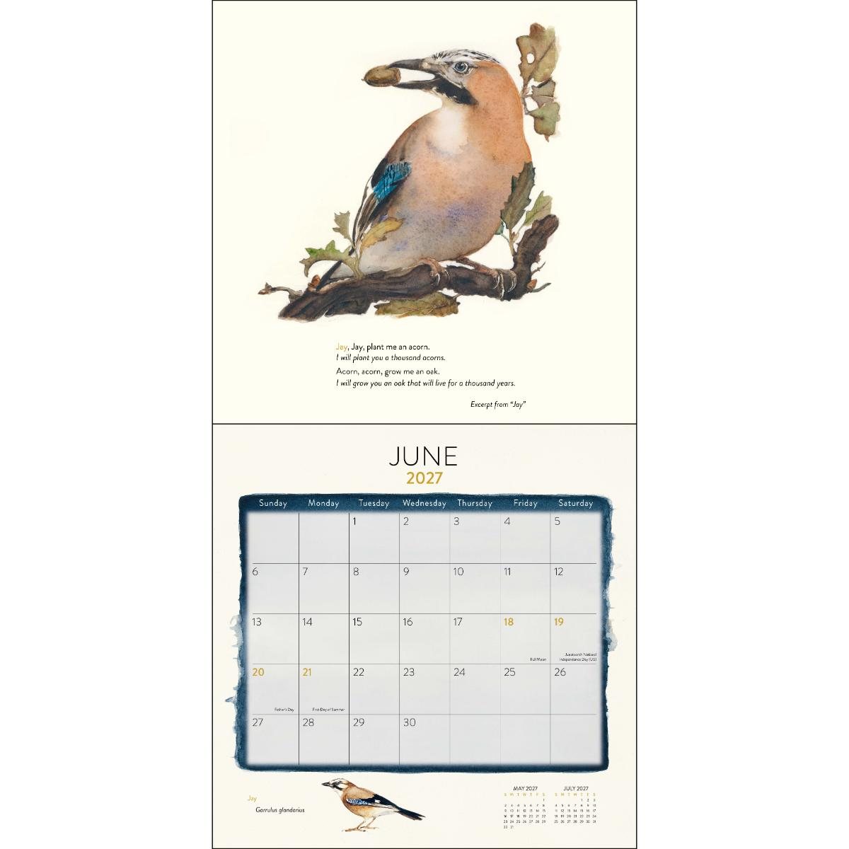 2027 The Lost Spells Wall Calendar